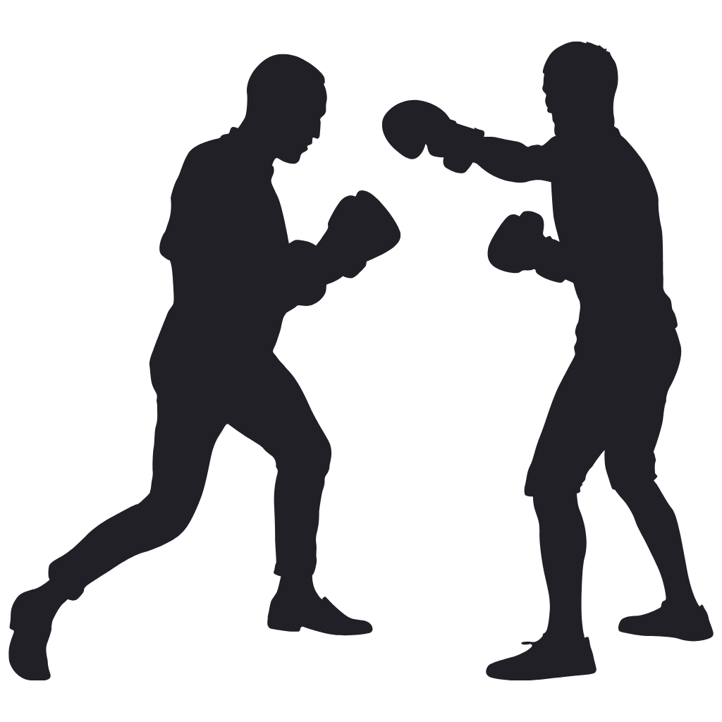 Boxing Marketing Automation Icon