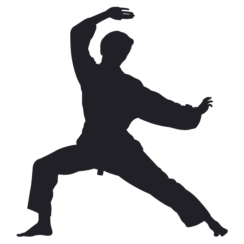 Rich Sumo Martial Arts Studio Icon