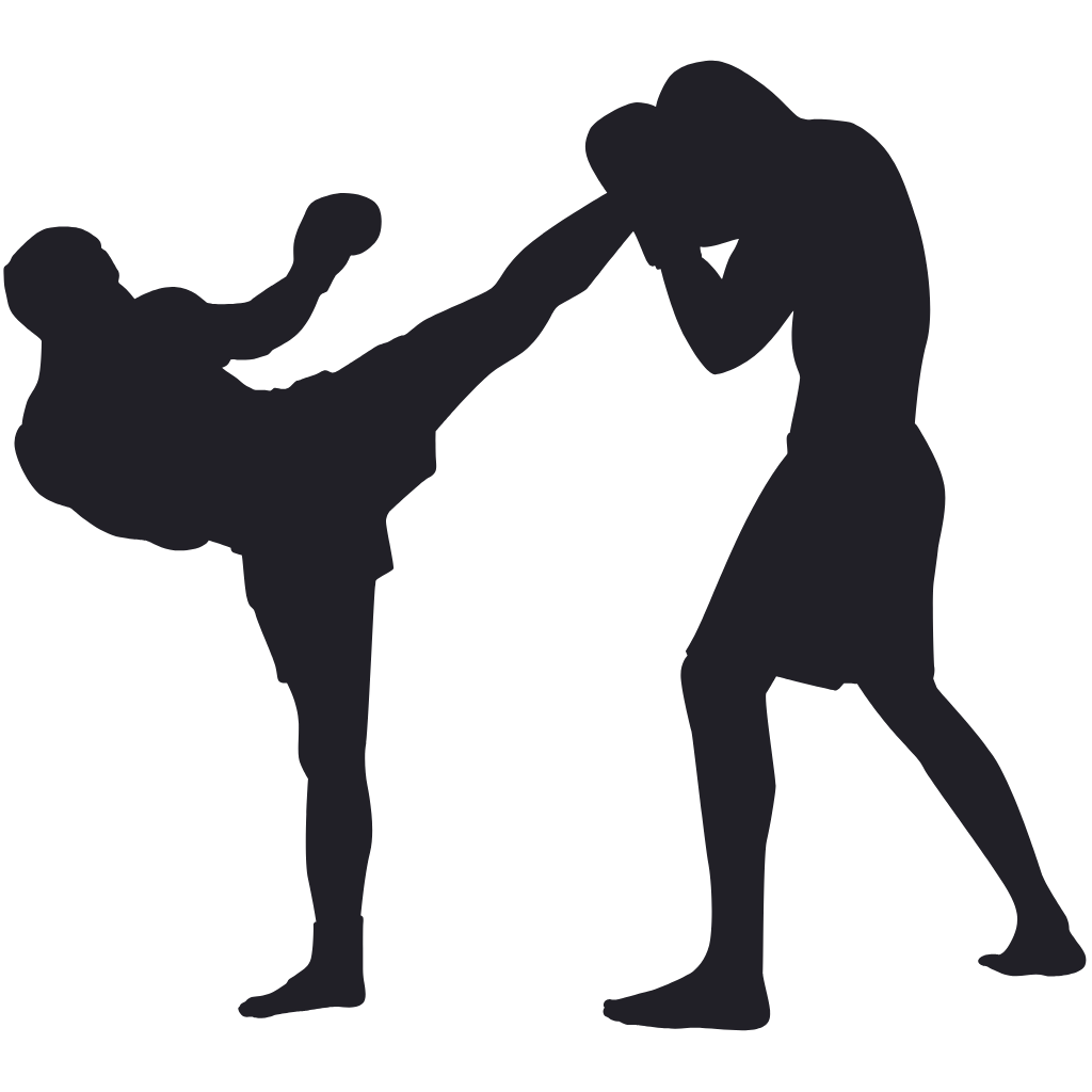 mma marketing icon